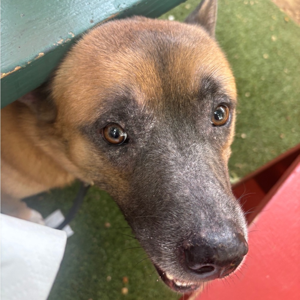 Meet your Posher, Natali